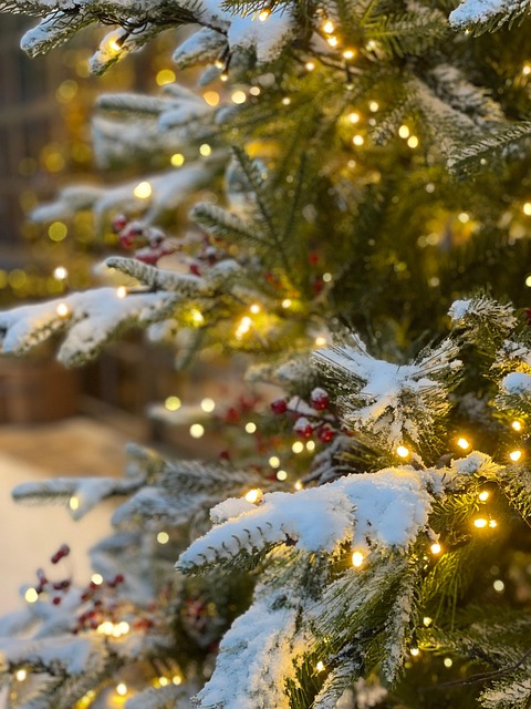 christmas