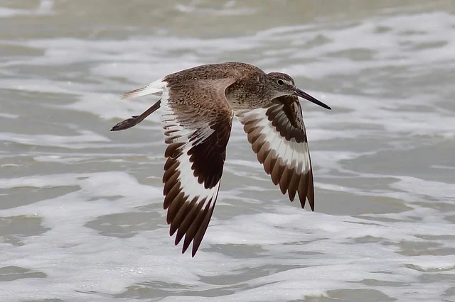 flying