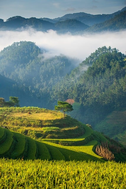 landscape