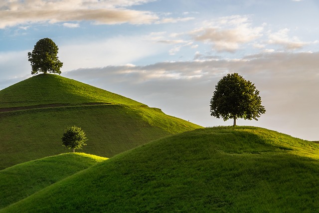 nature