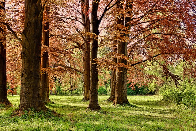 nature