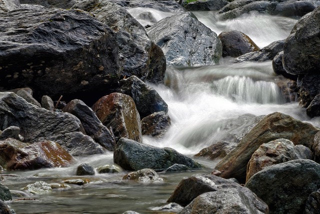 nature